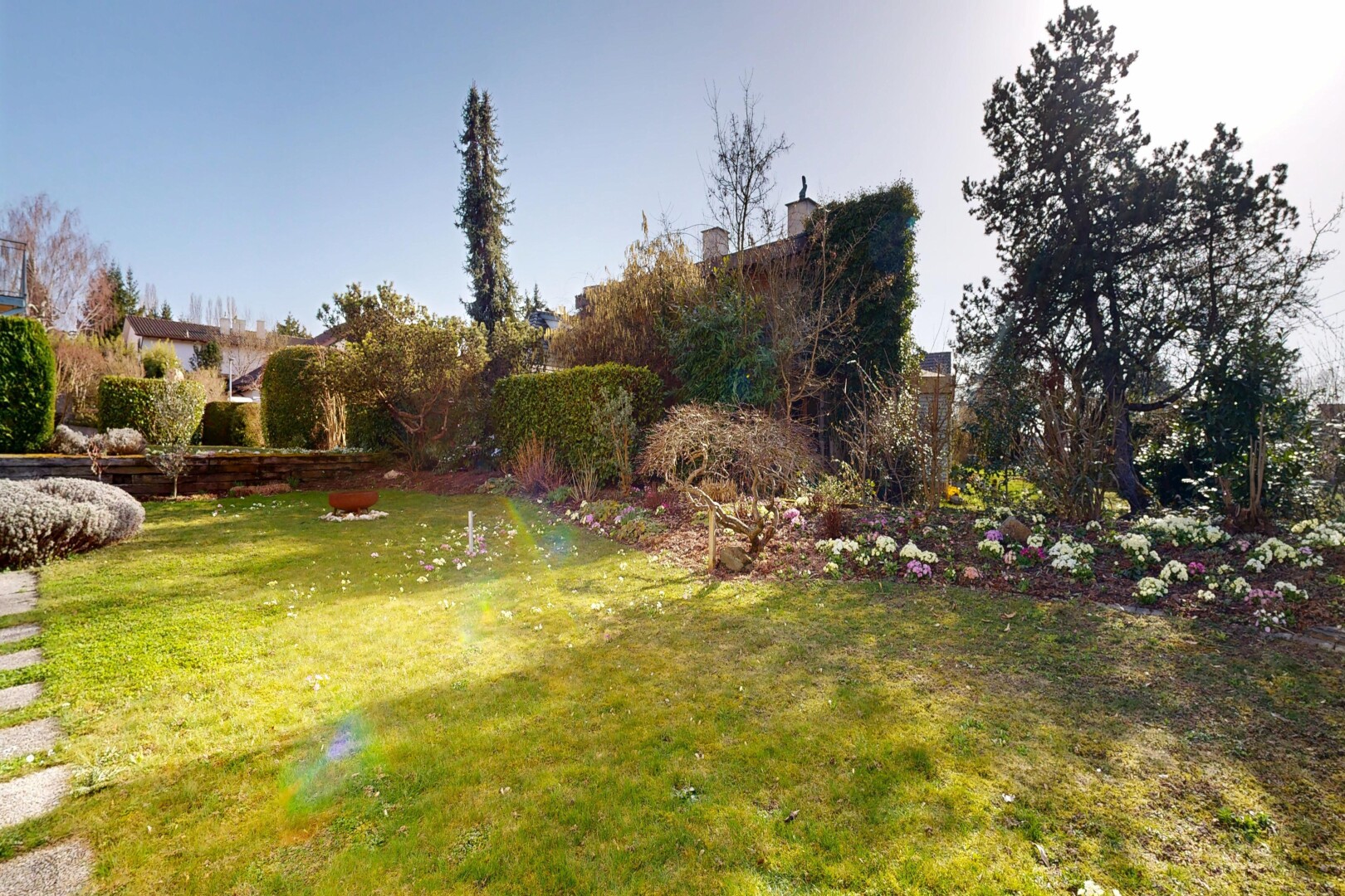 jardin avec pelouse et day time