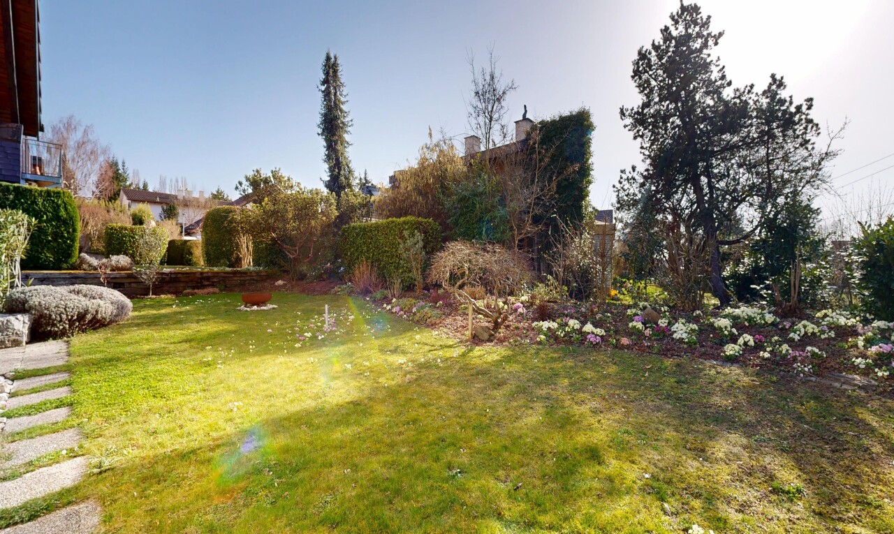 jardin avec pelouse et day time