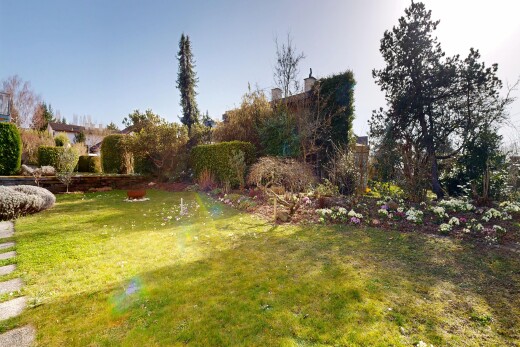 garten mit rasen und day time