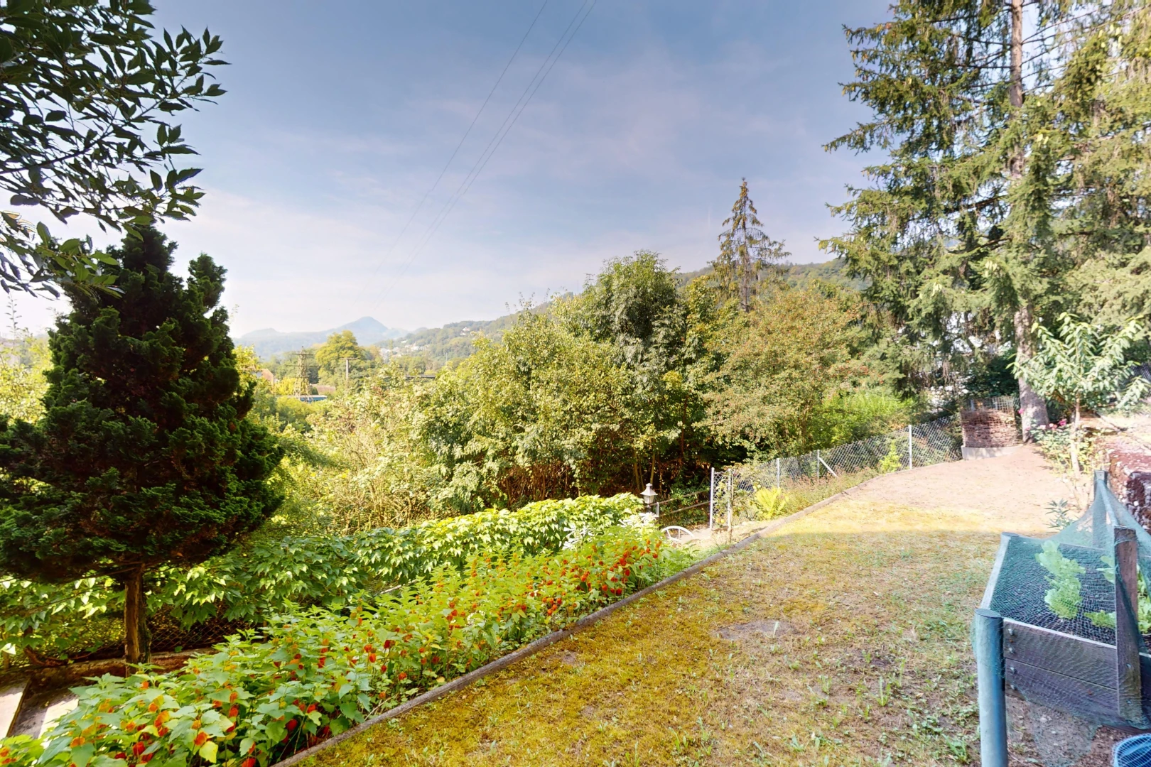 jardin avec clôture