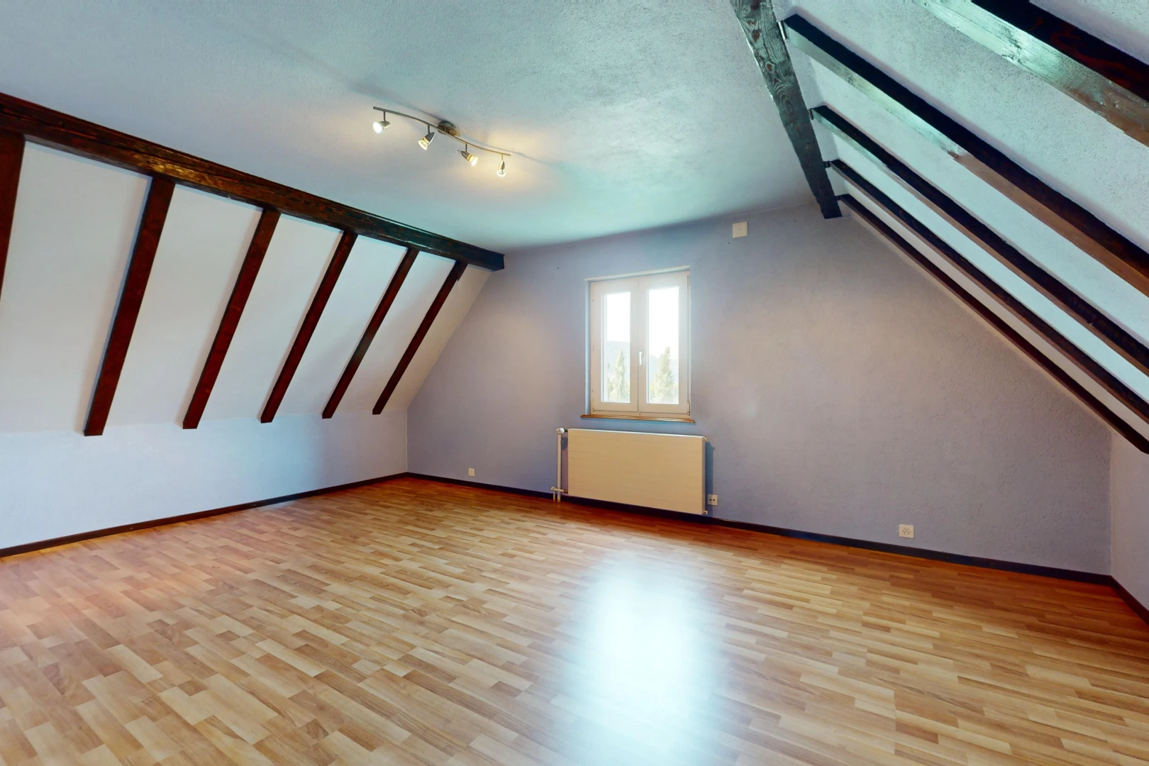 pièce vide avec radiateur, plancher de bois, et lumière naturelle