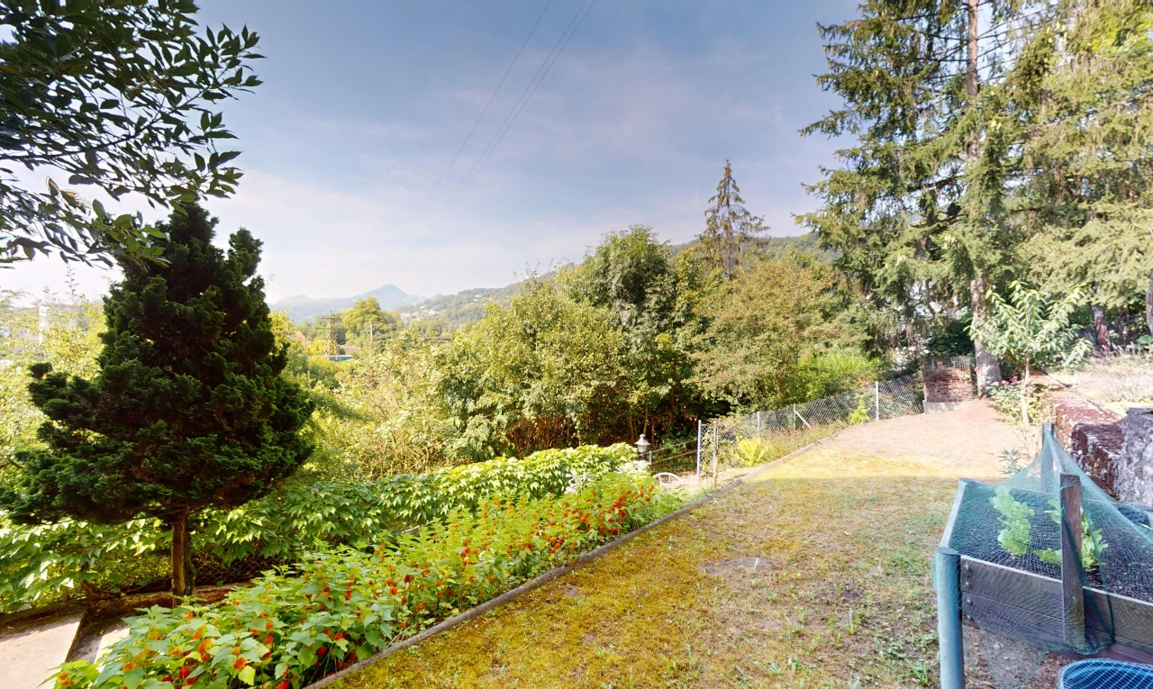 jardin avec clôture
