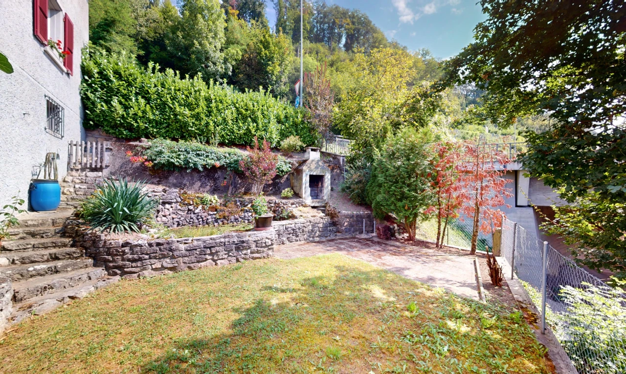 jardin avec clôture et pelouse