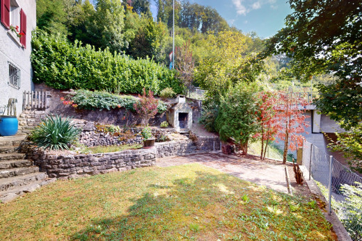 garten mit zaun und rasen