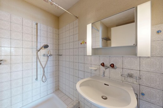 bad mit waschbecken, komplettes badezimmer, spiegel, inside property, und dusche