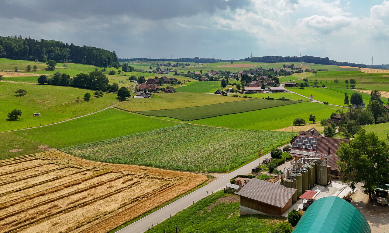 blick auf die berge mit ländliche aussicht, rural view, und day time