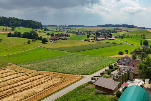 vue sur la montagne avec vue rurale, rural view, et day time
