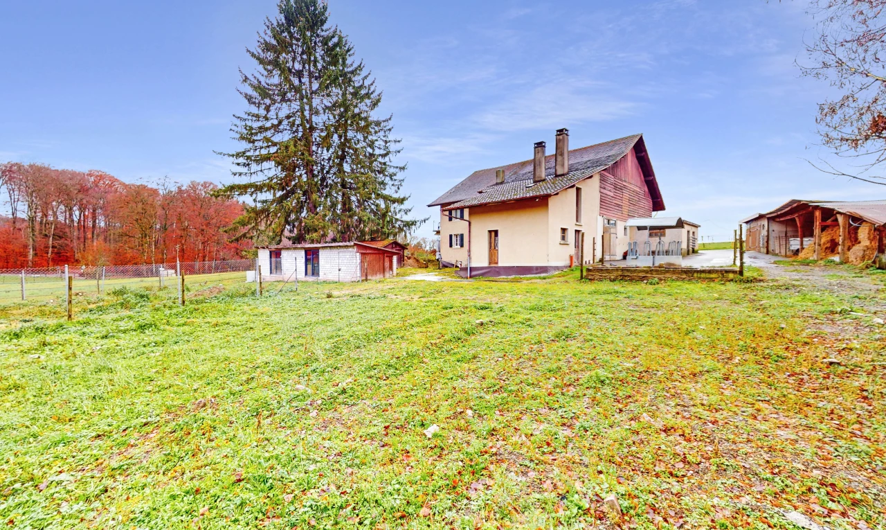 blick auf das zuhause mit einem hof