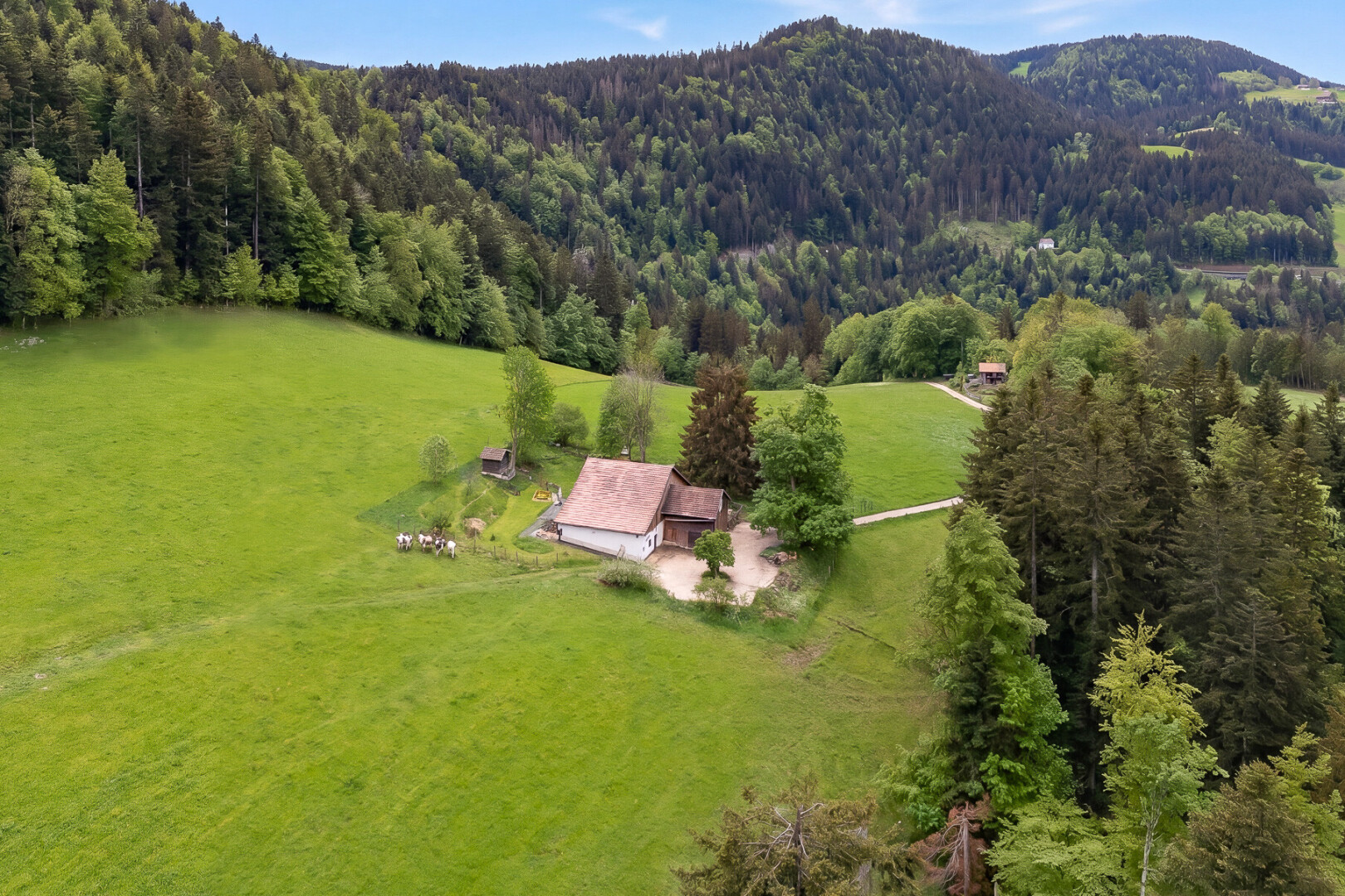 vue sur la montagne avec vue rurale, rural view, property visible, vue sur la forêt, et forest view