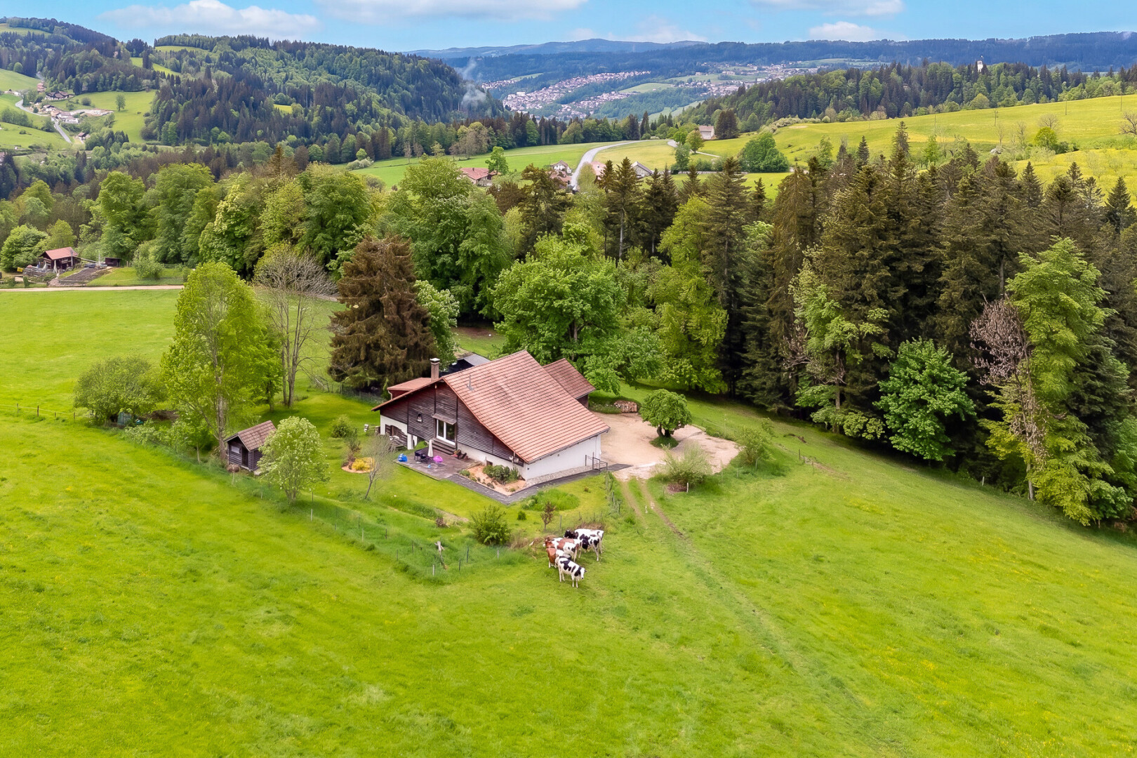 vue sur la montagne avec property visible et day time