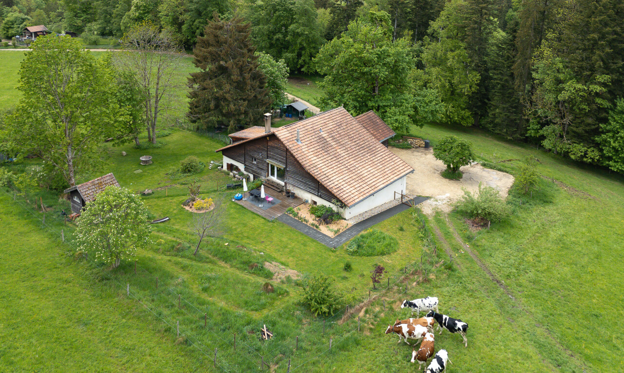 façade avec pelouse, property visible, animal farm, et animal