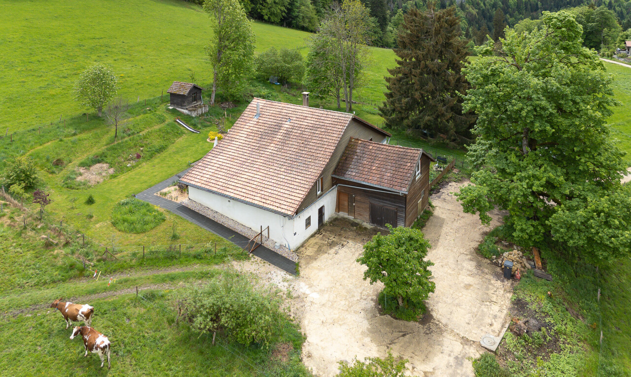 façade avec property visible, rural view, vue rurale, animal, et pelouse