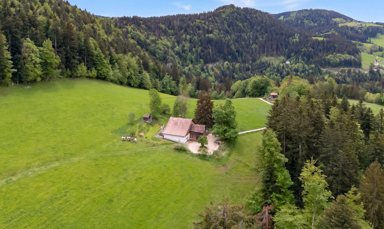 vue sur la montagne avec vue rurale, rural view, property visible, vue sur la forêt, et forest view