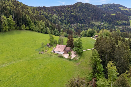 vue sur la montagne avec vue rurale, rural view, property visible, vue sur la forêt, et forest view