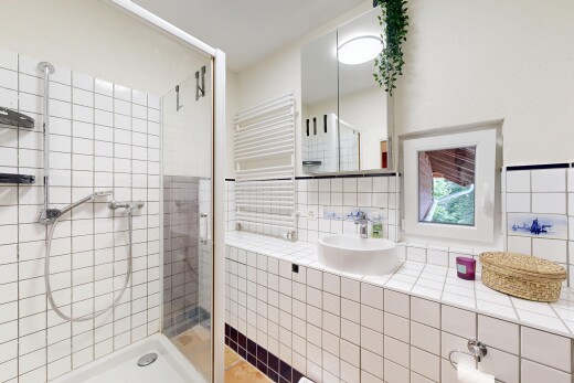 salle de bains avec douche, salle de bain complète, radiateur, évier, et inside property