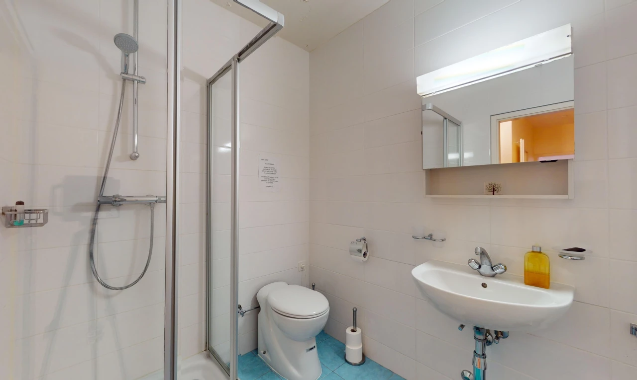 bad mit toilette, fliesenwand, spiegel, fliesenboden, und dusche