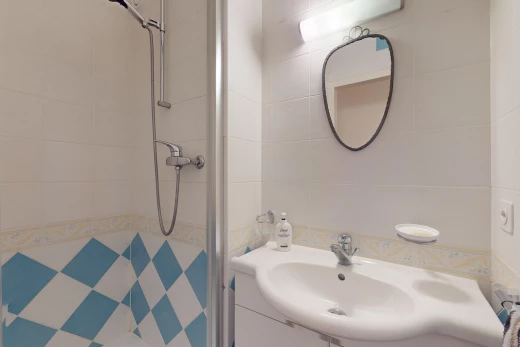 salle de bain avec vasque, douche, et miroir