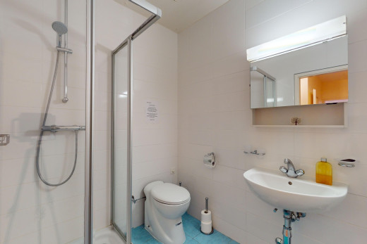 bad mit toilette, fliesenwand, spiegel, fliesenboden, und dusche