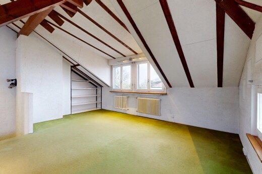 pièce vide avec radiateur, inside property, plafond voûté, vaulted ceiling, et lumière naturelle
