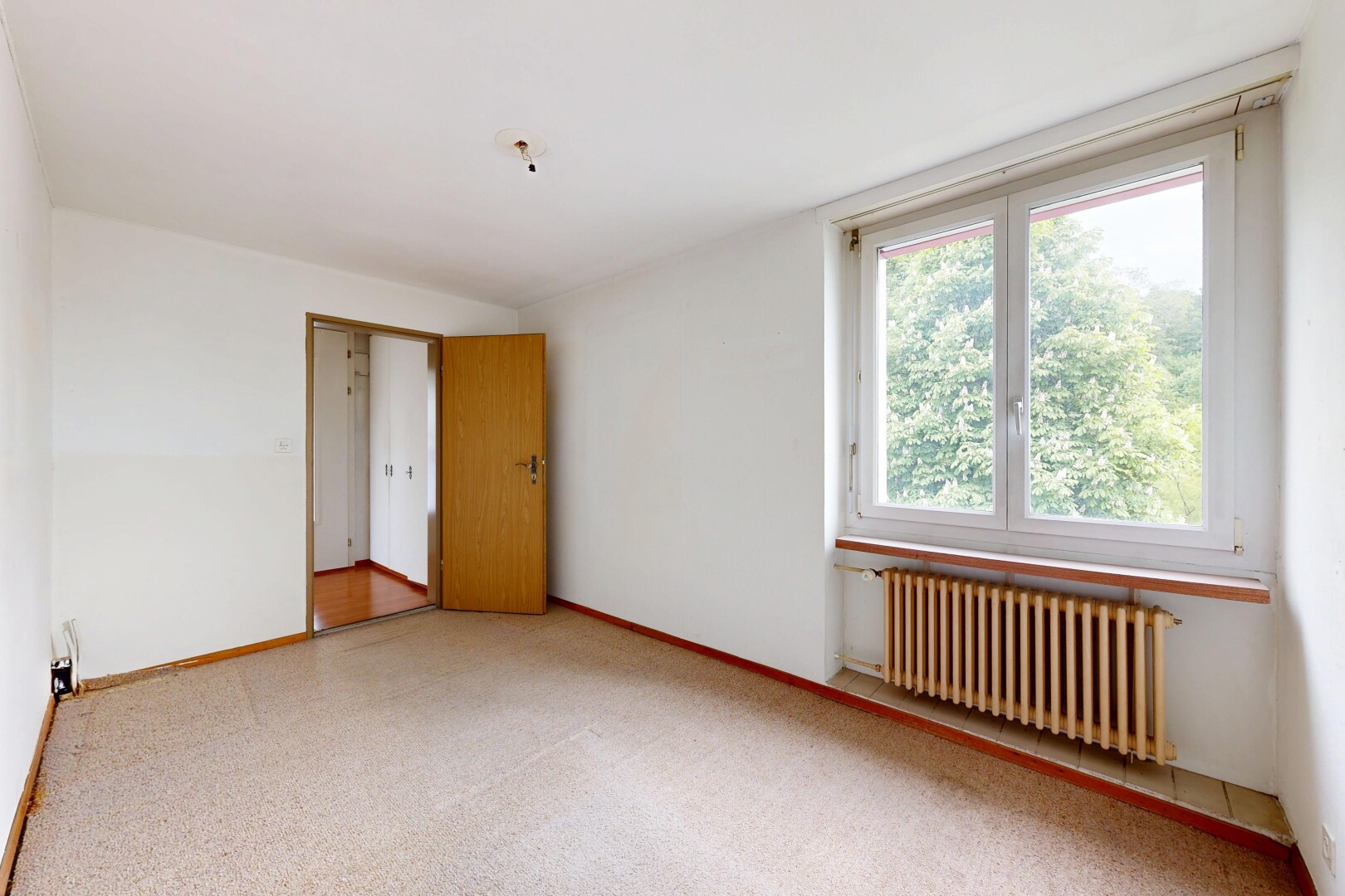 pièce vide avec radiateur, drywall, cloison sèche, carpet, et moquette