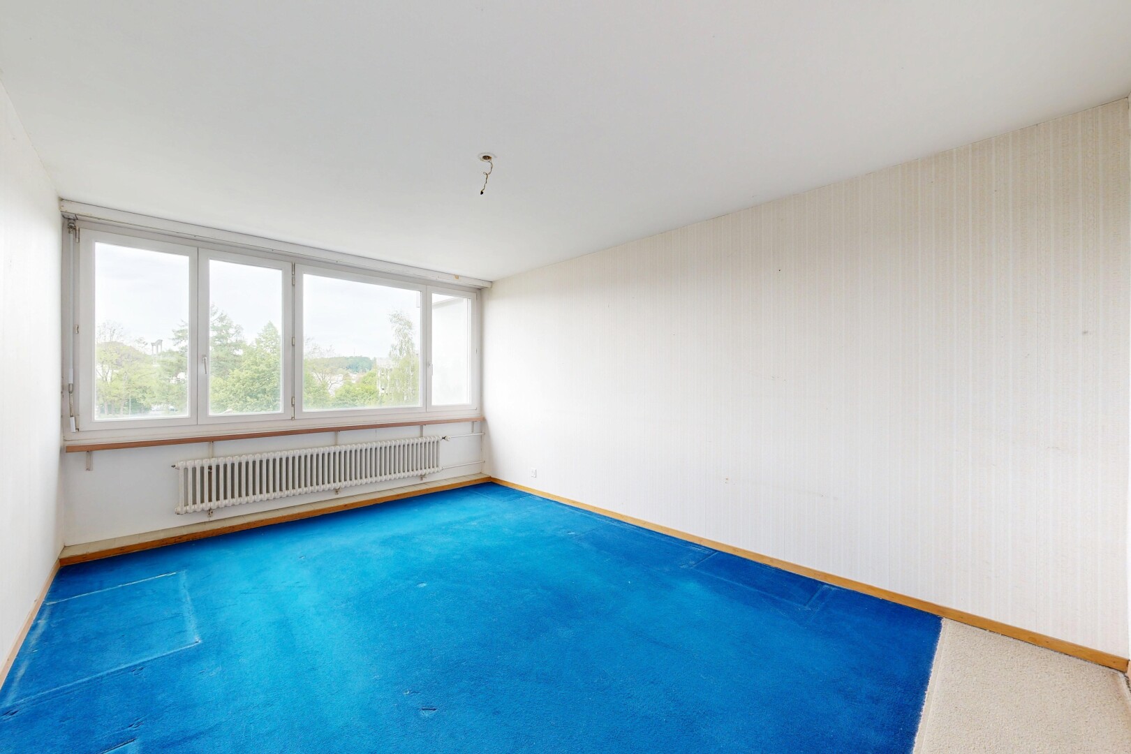 pièce vide avec radiateur, moquette, carpet, plinthes murales, et baseboards wall