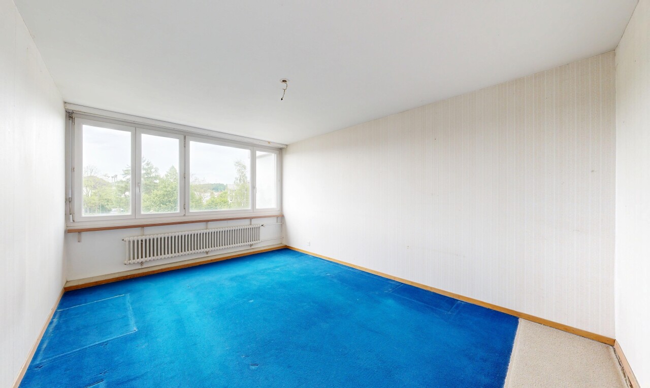 pièce vide avec radiateur, moquette, carpet, plinthes murales, et baseboards wall