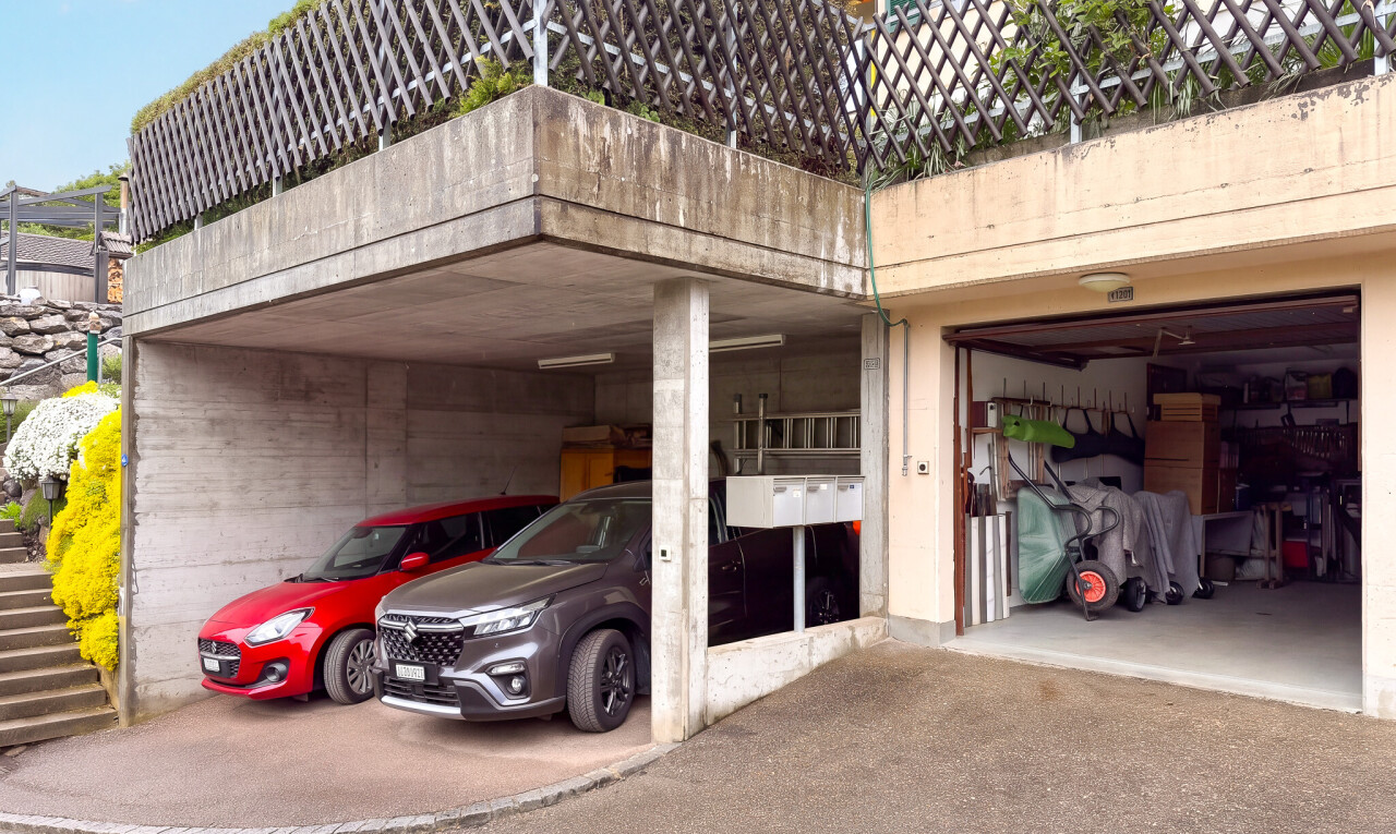 parken mit day time