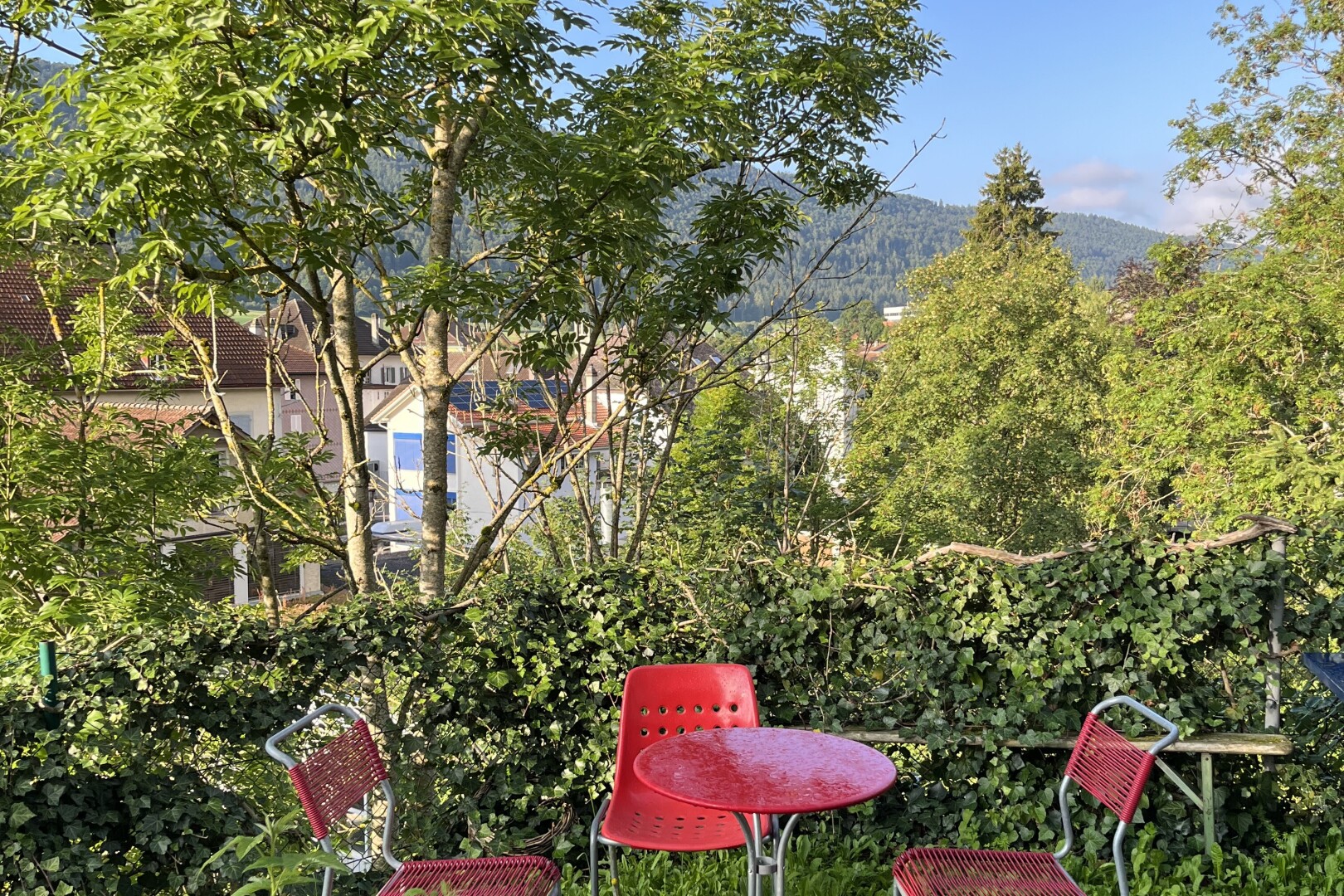 garden with a mountain view