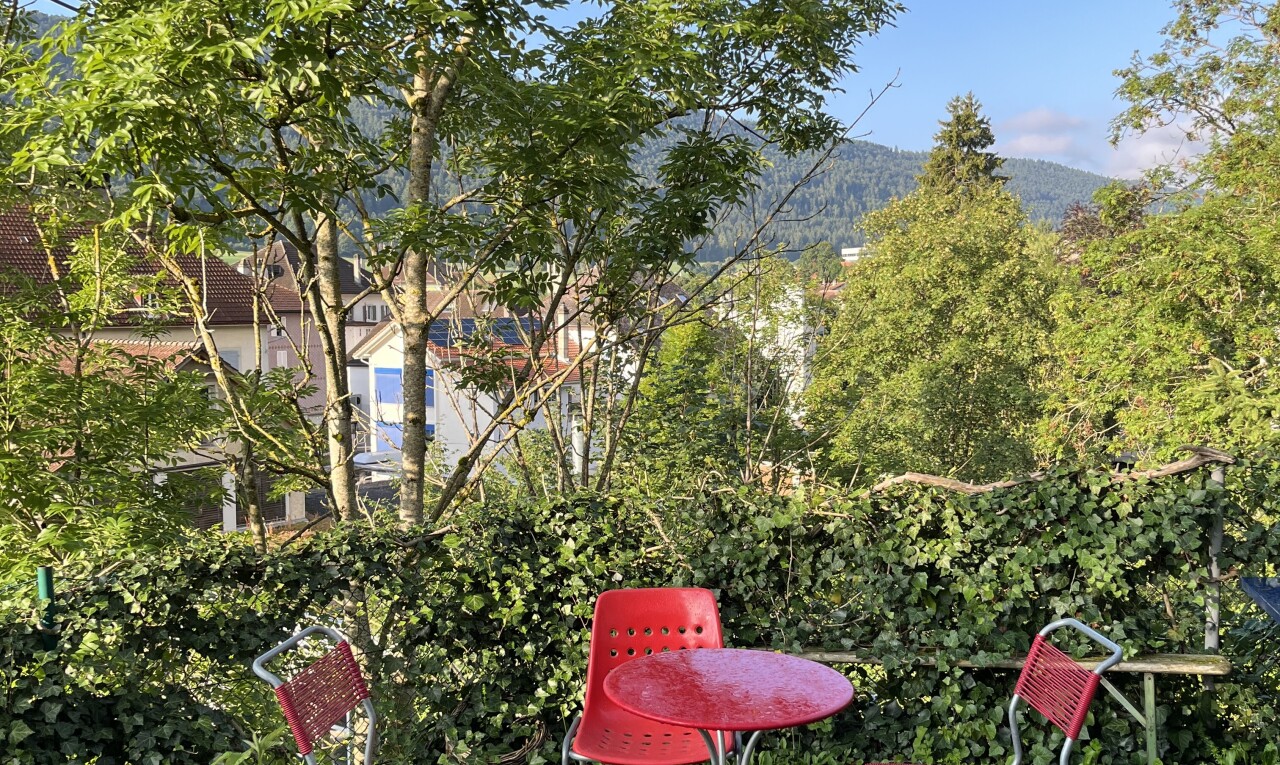 garden with a mountain view