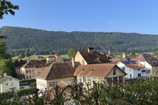 außenansicht mit schornstein, forest view, waldblick, residential view, und wohngebietblick