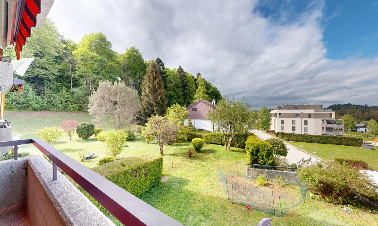 jardin avec pelouse et from property