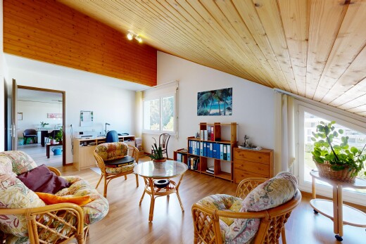 salon avec plafond voûté, vaulted ceiling, plafond en bois, wood ceiling, et sol en finition bois