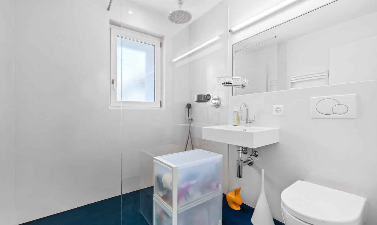 bad mit komplettes badezimmer, waschbecken, dusche, natürliches licht, und toilette