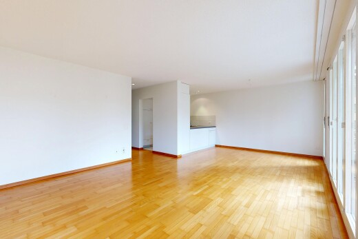 leerer raum mit natürliches licht, natural light, gipskartonwand, drywall, und holzfußboden