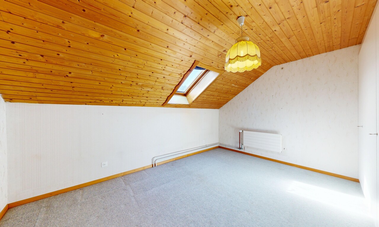 leerer raum mit dachfenster, carpet, teppich, zusätzliches zimmer, und vaulted ceiling