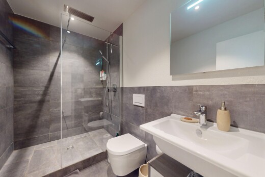 bad mit toilette, tile shower, tile wall, fliesenwand, und dusche