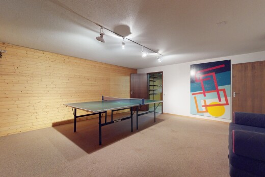 wohnzimmer mit teppich, carpet, deckenbeleuchtung, track lighting, und holzwand