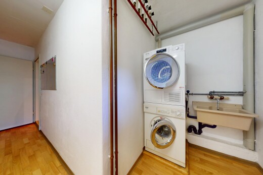 wäschekammer mit holzfußboden, wood finish floor, inside property, waschturm, und gipskartonwand
