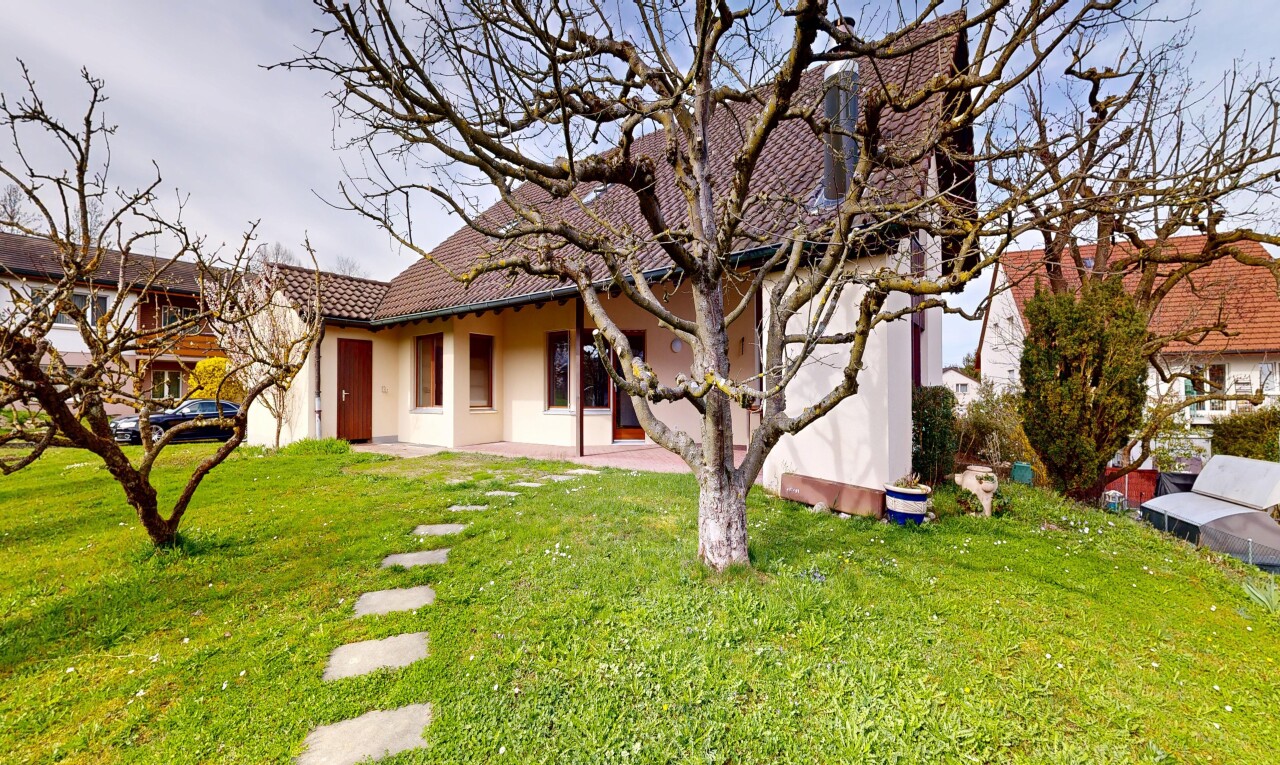 jardin avec property visible, pelouse, et terrasse