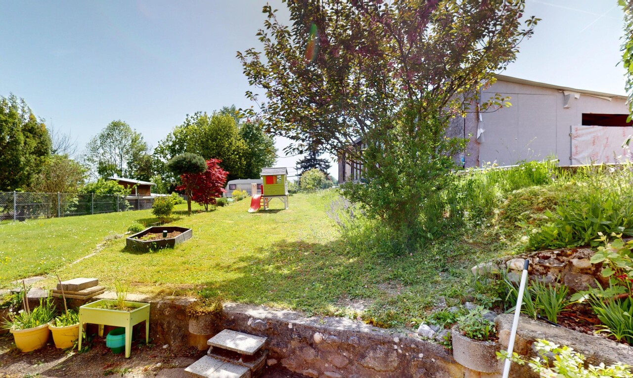garten mit rasen und zaun
