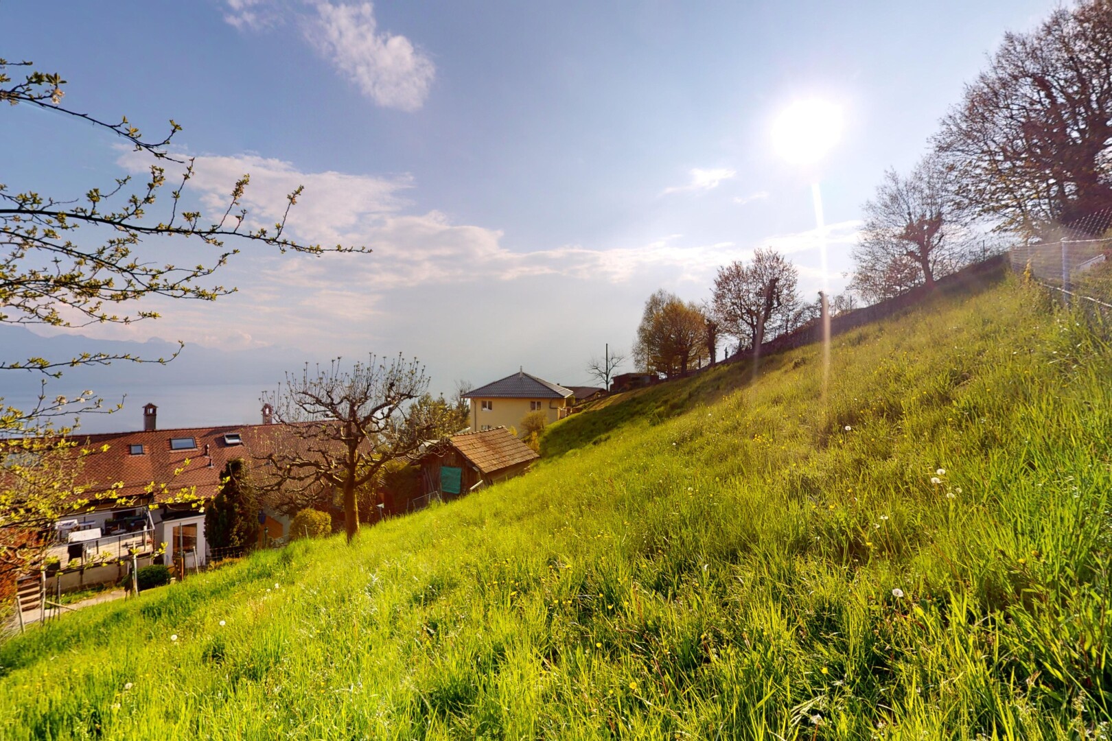 jardin avec vue rurale, rural view, et day time