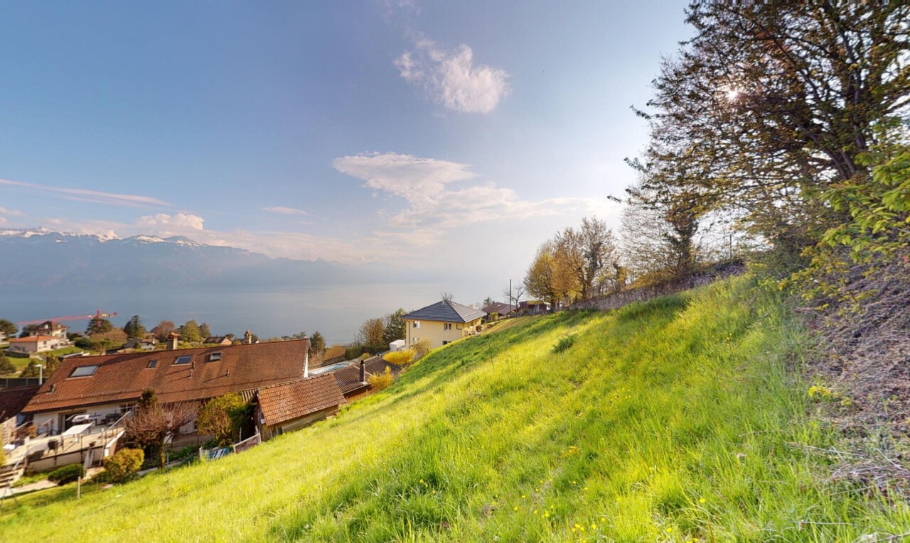 jardin avec day time