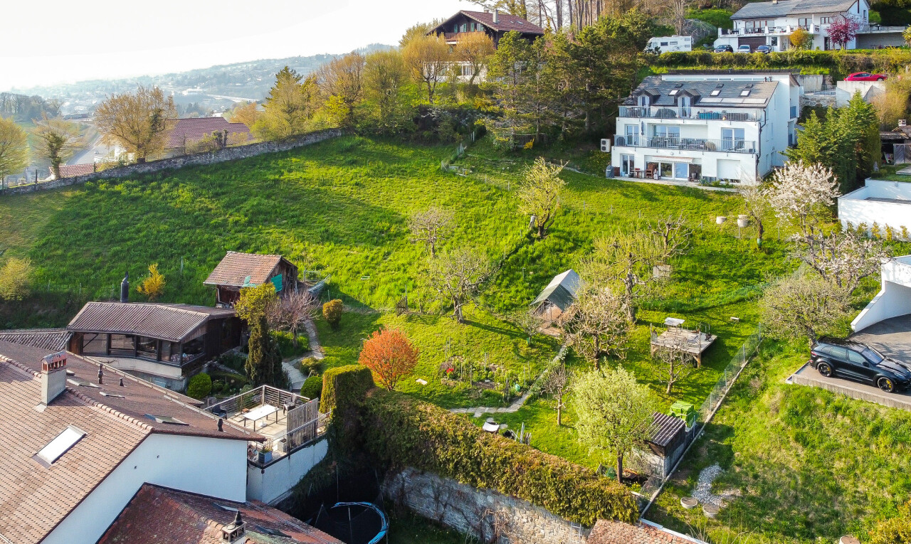 jardin