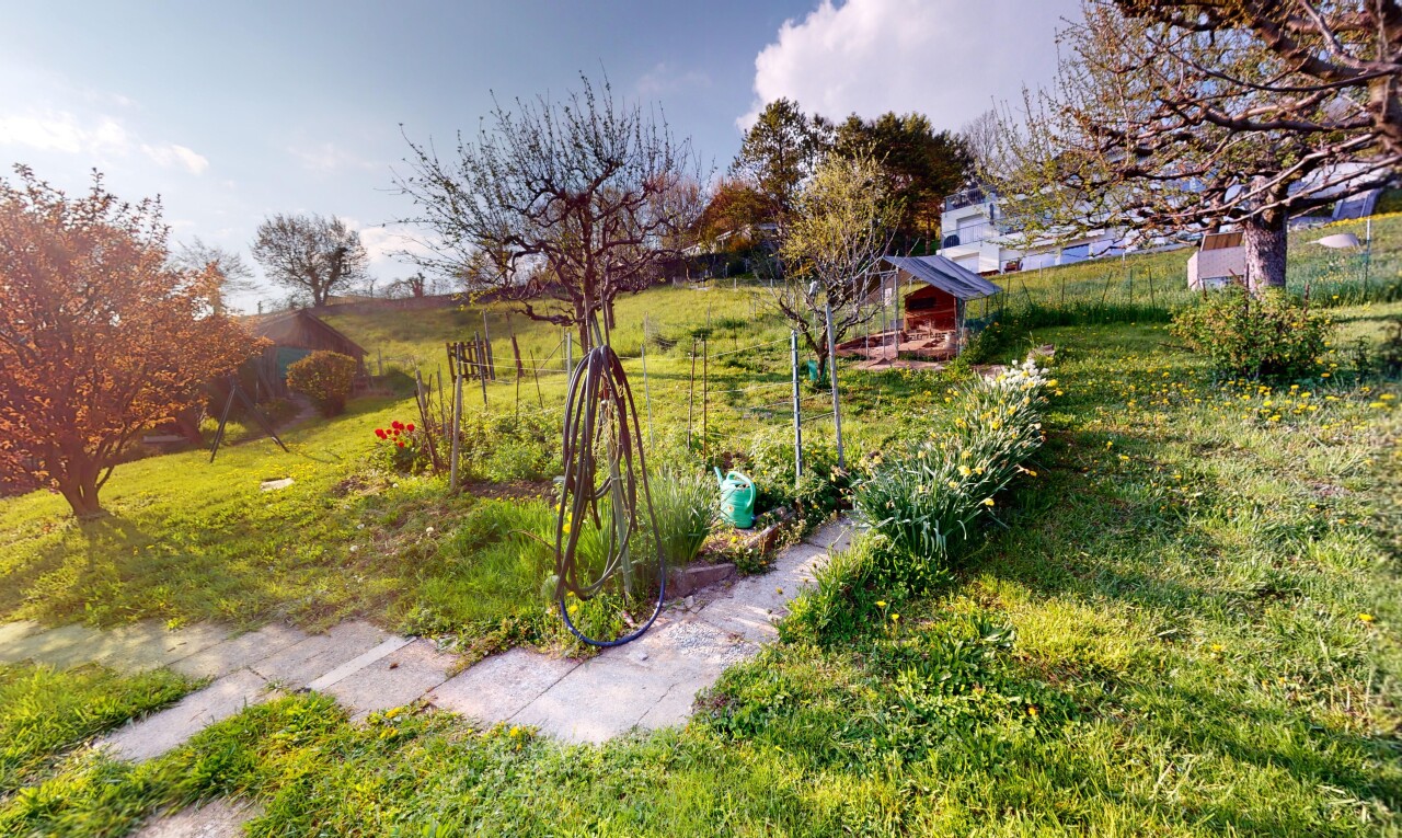 jardin avec pelouse, vue rurale, rural view, et day time