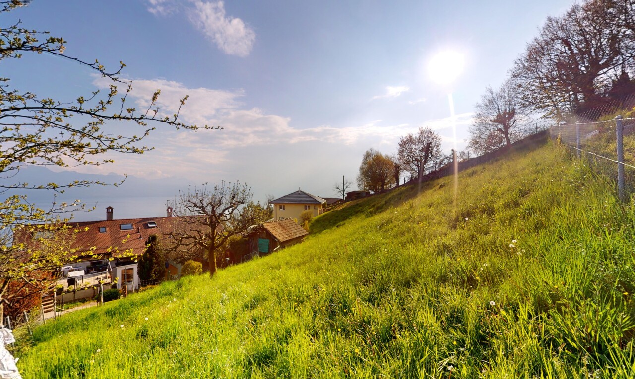 jardin avec vue rurale, rural view, et day time
