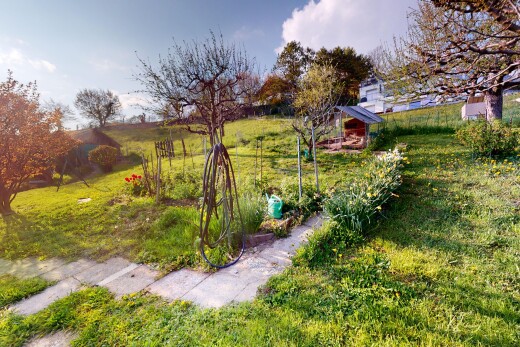 garten mit rasen, ländliche aussicht, rural view, und day time