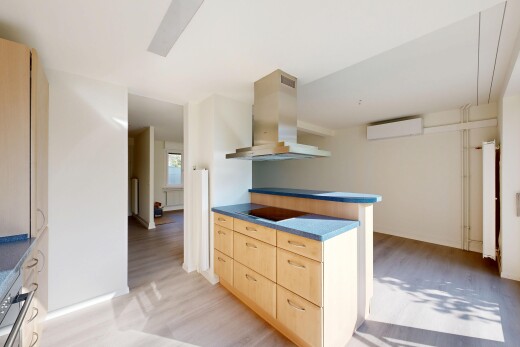 küche mit hellbraune schränke, arbeitsplatten, dunstabzugshaube, wood finish floor, und holzfußboden