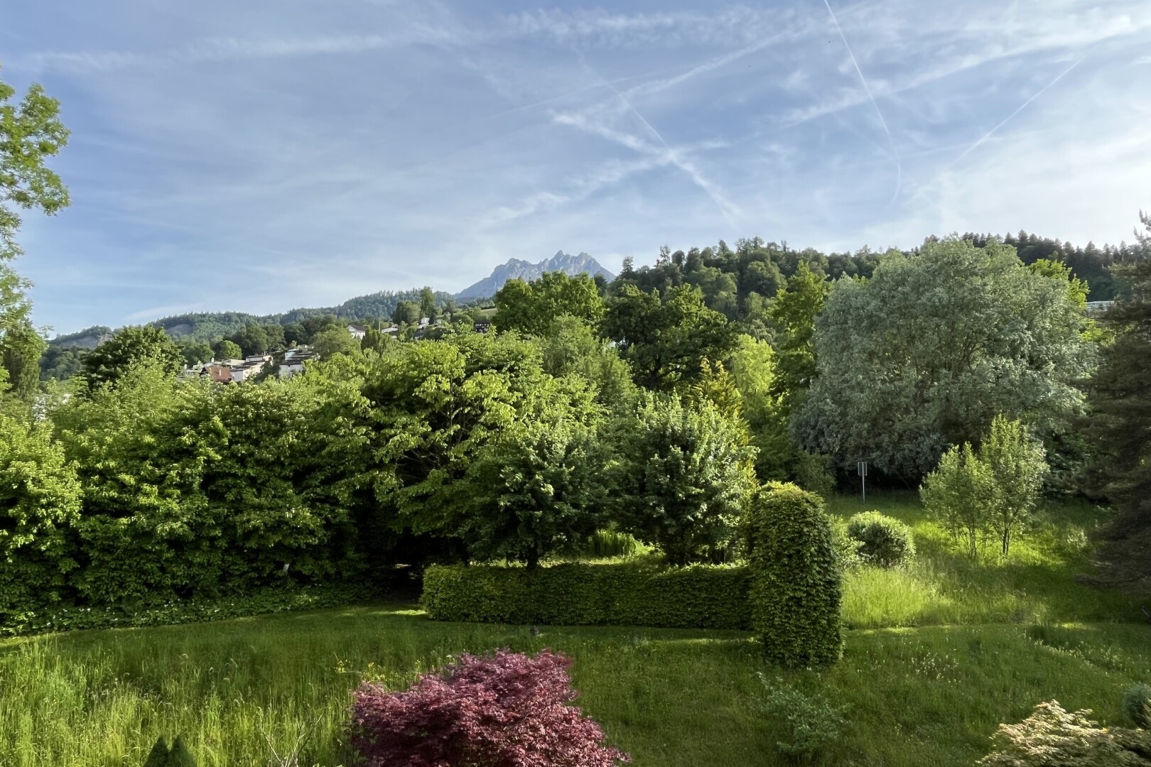 garten mit day time