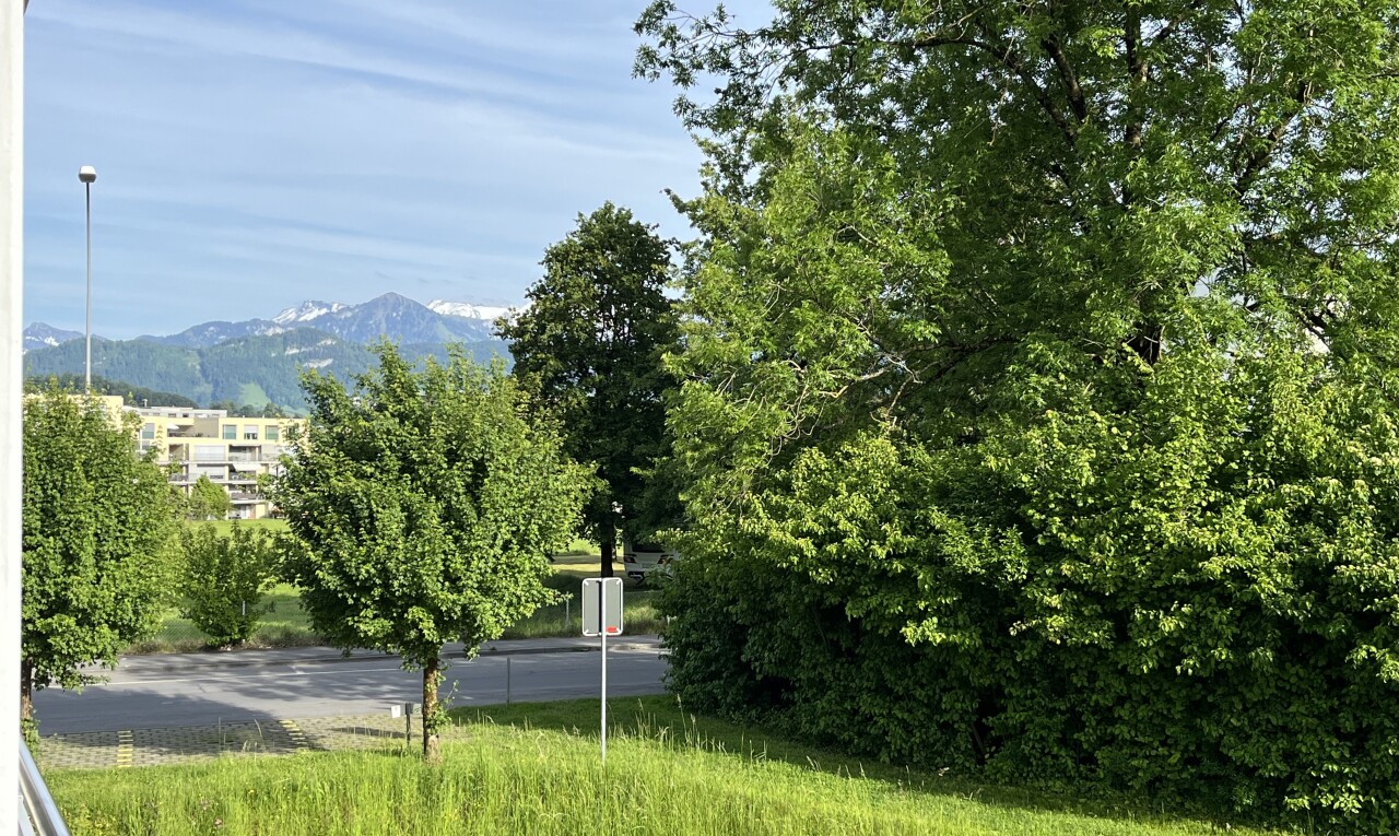 garten mit day time, mountain view, und blick auf die berge