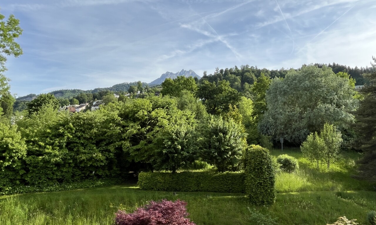 garten mit day time